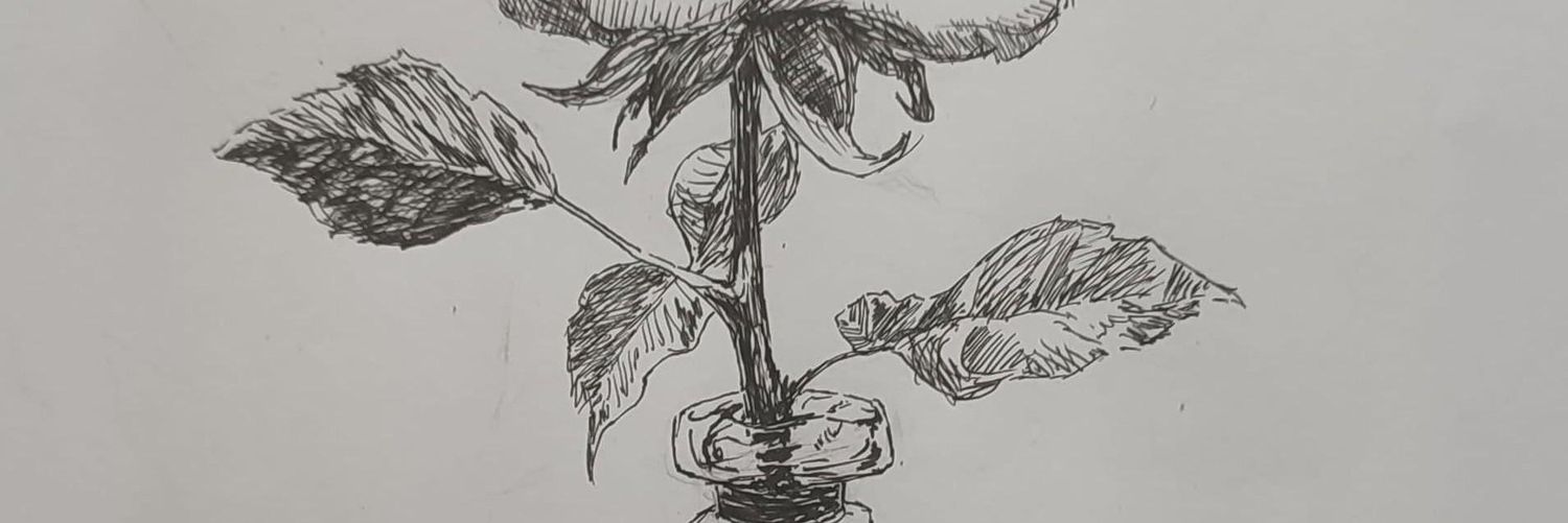 desilusão didática banner