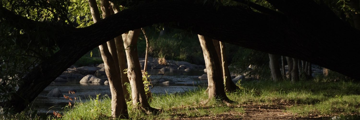 LuleCanteros's profile banner image