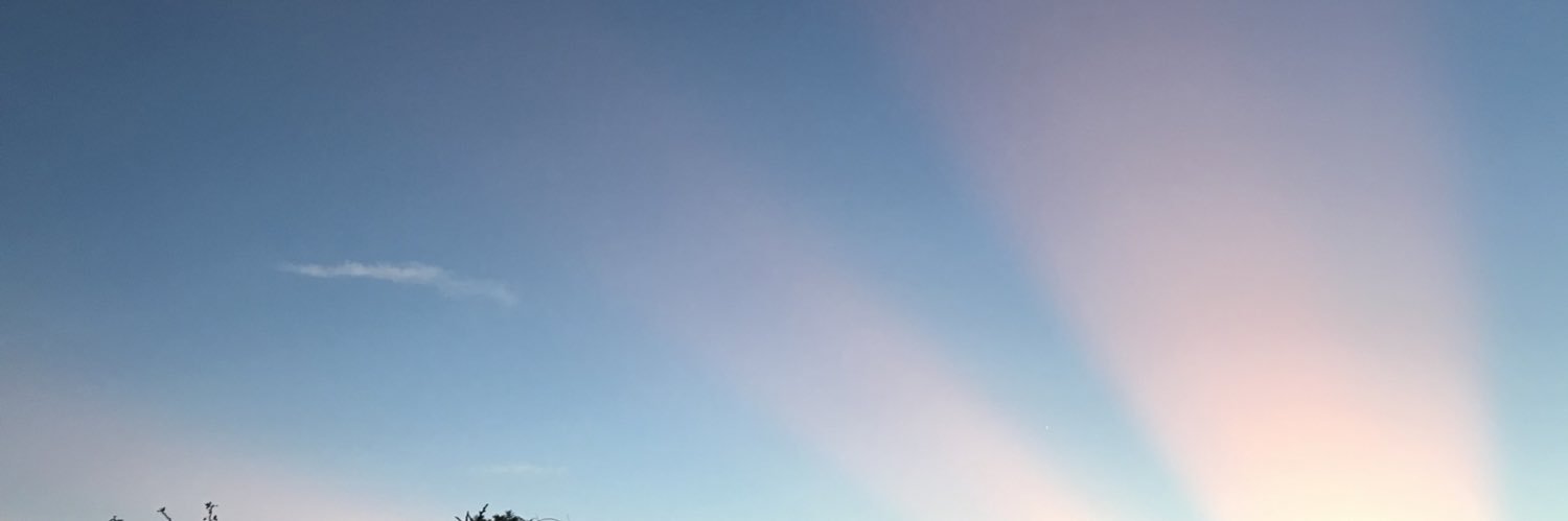 nutellacfresas's profile banner image