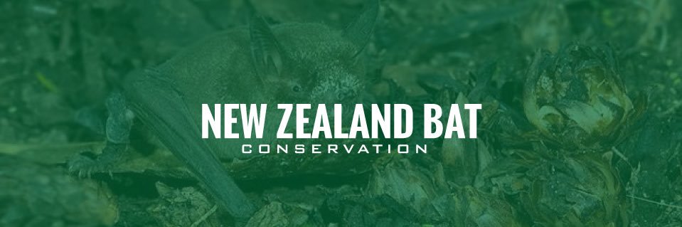 NZ Bat Conservation banner