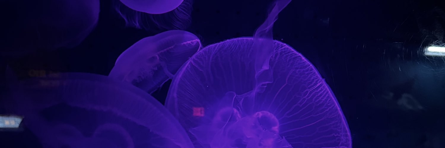 The_JaviCakes's profile banner image