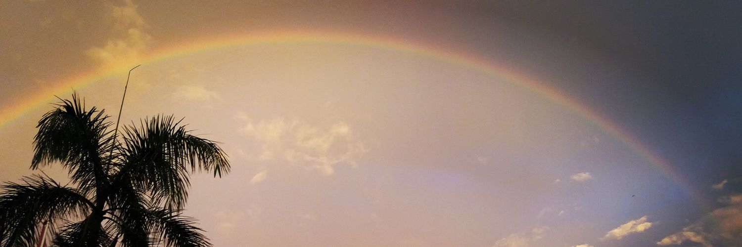 mikhpollen's profile banner image