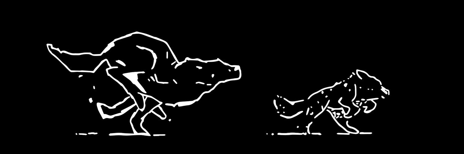 finnmcnamaraa's profile banner image