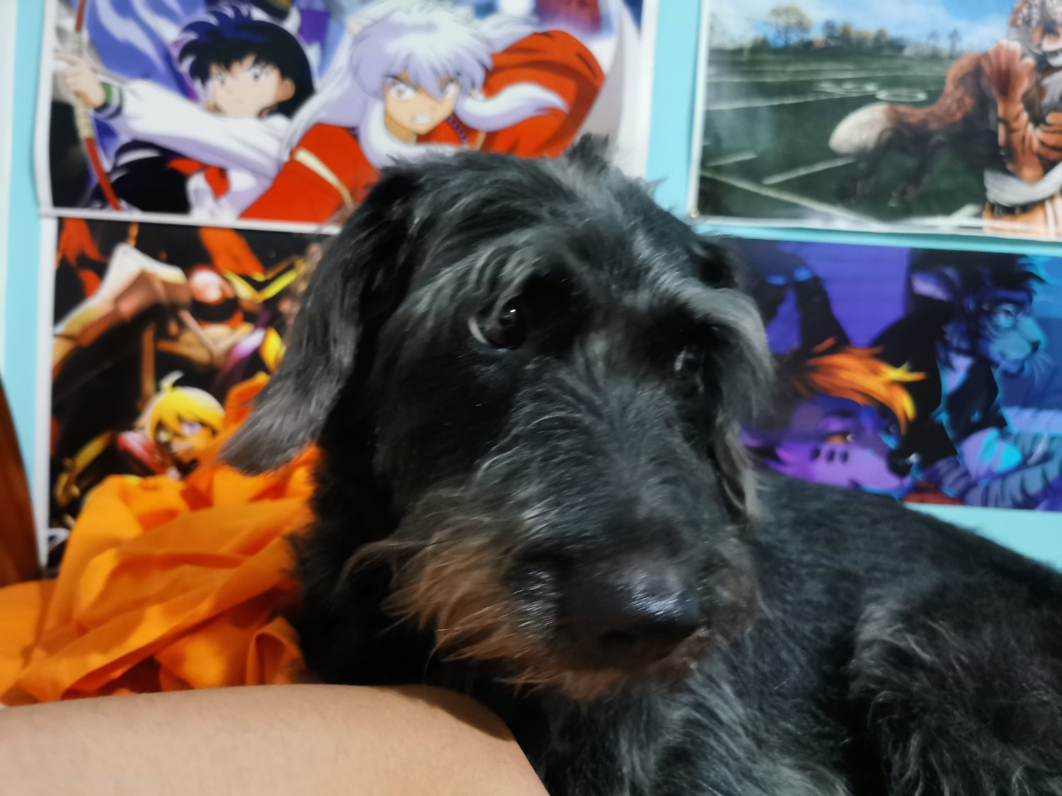 MICHAELRSO's profile banner image