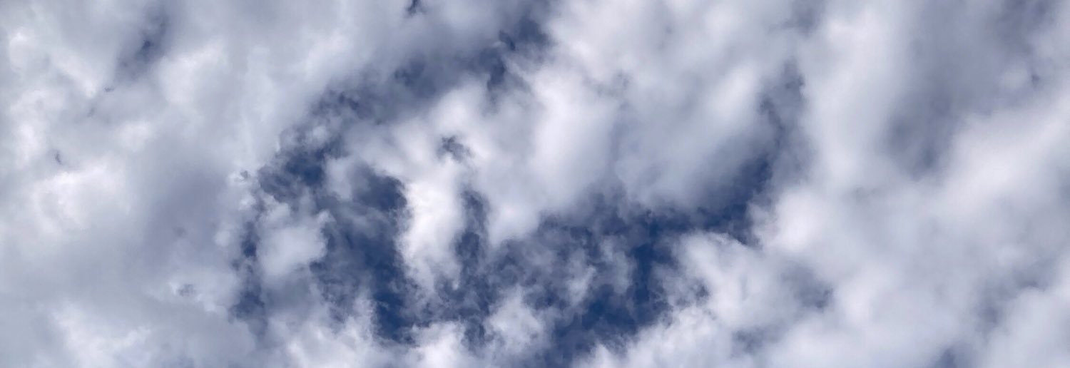 wolfscat's profile banner image