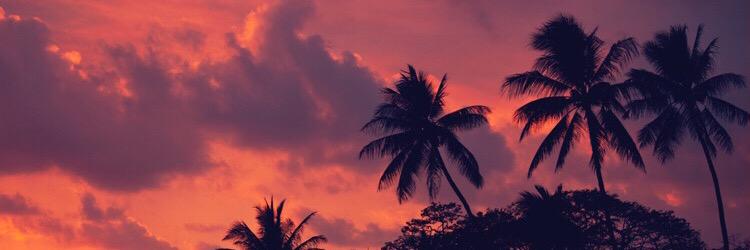 M_SNIKE's profile banner image