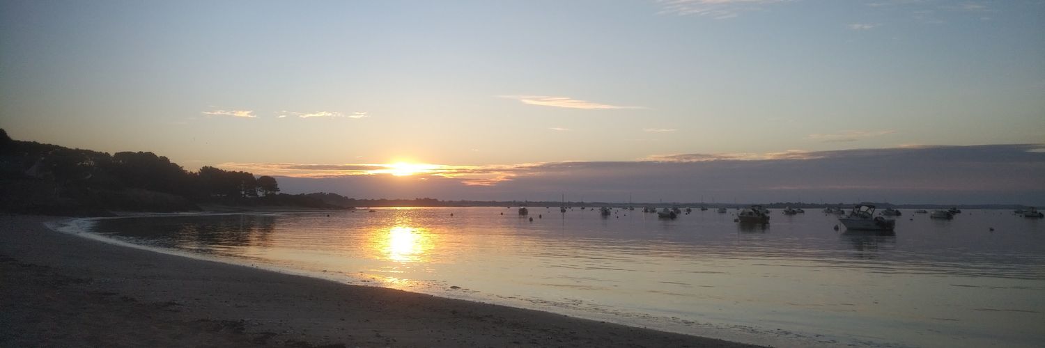 Benjamin Henry banner