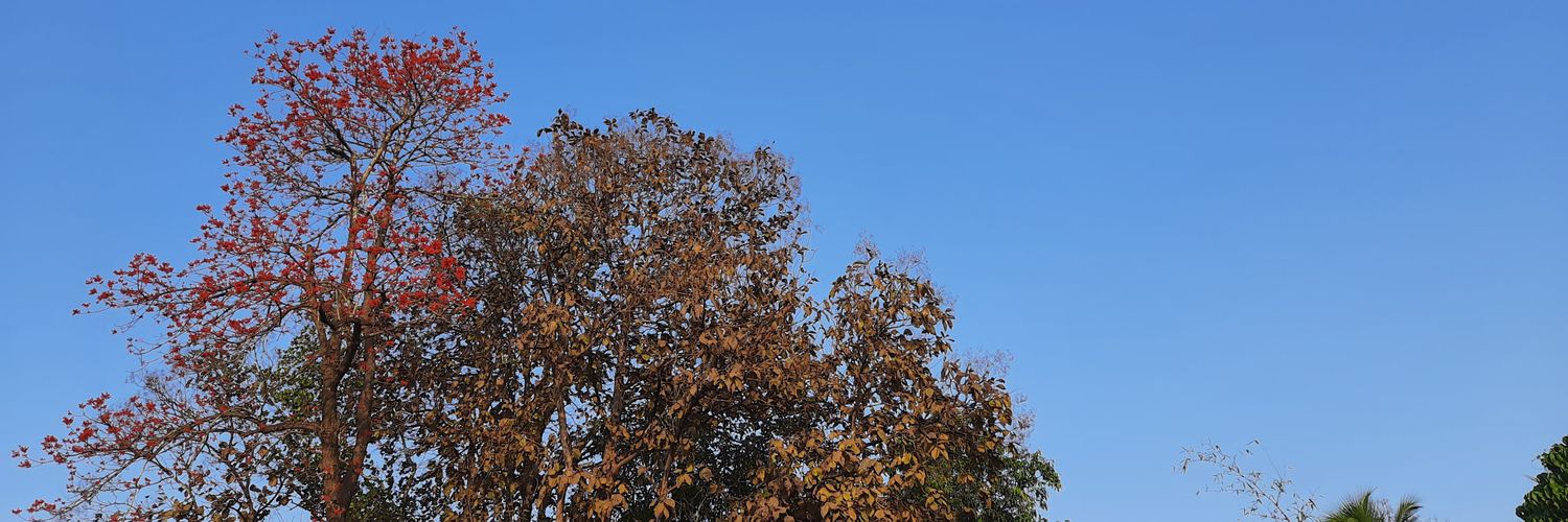 sausaw's profile banner image