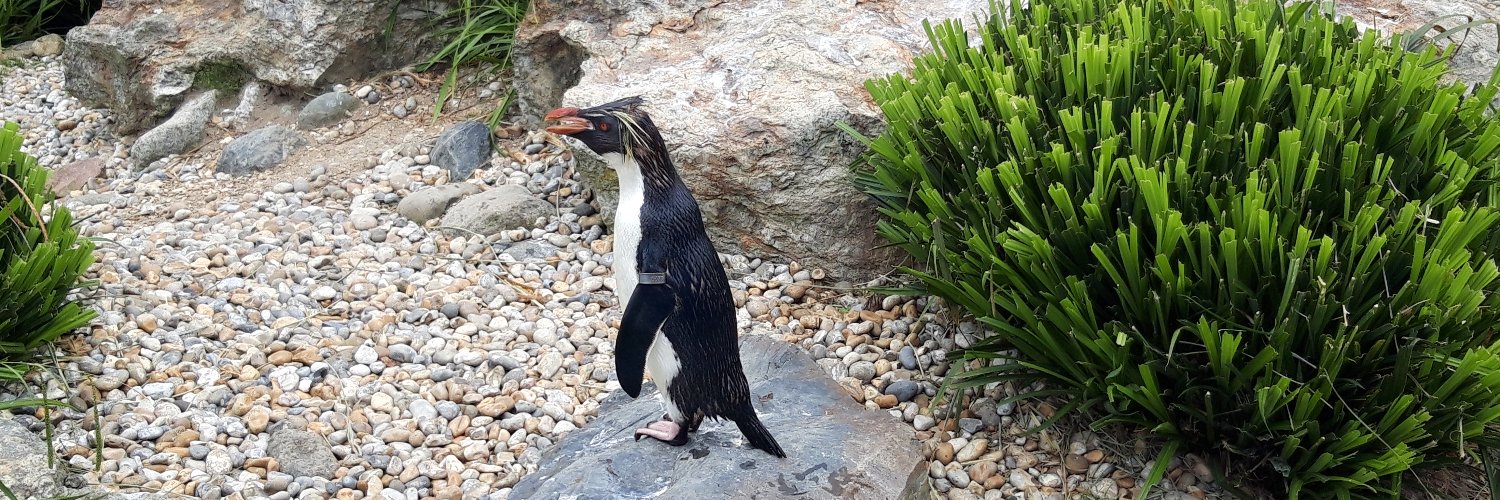 Kevin Collins banner