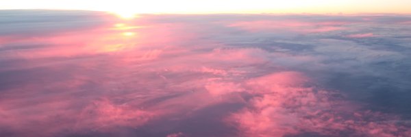 drannaduncan Profile Banner