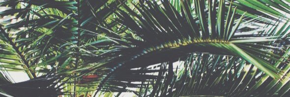 WallinEmmy's profile banner image