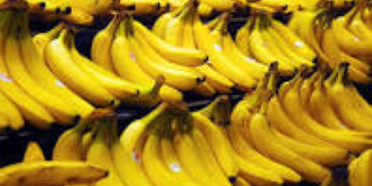 TrueBananaFacts's profile banner image