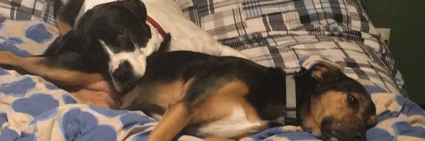 Chwistiannn Profile Banner