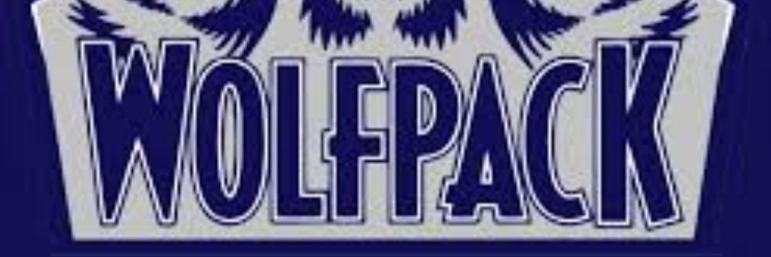 Illinois Icemen banner