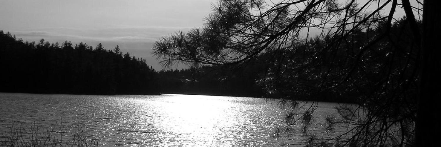 warrenscott's profile banner image