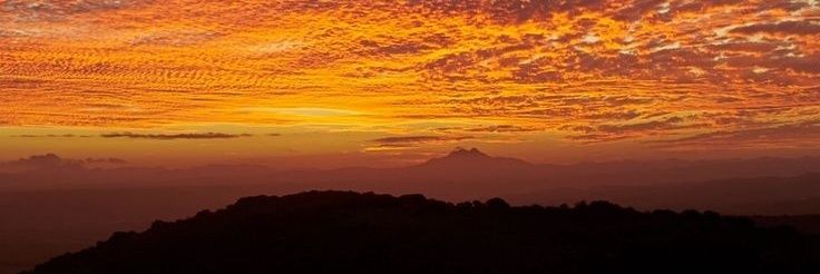 IreneEspinal2's profile banner image