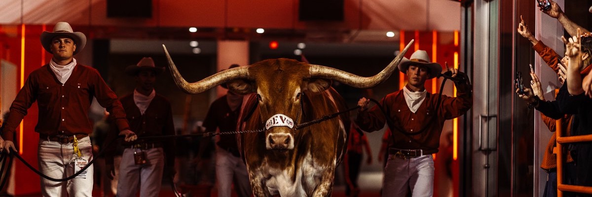 shaneblack_'s profile banner image