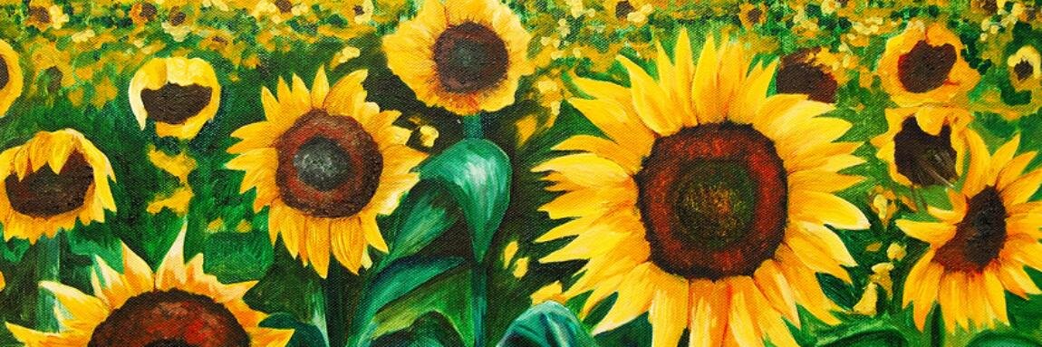 pricklyperin's profile banner image