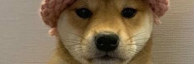 luk banner