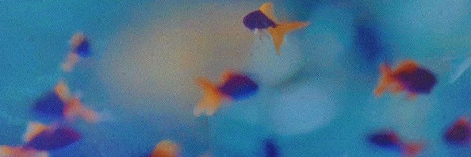 _tickingclocks's profile banner image