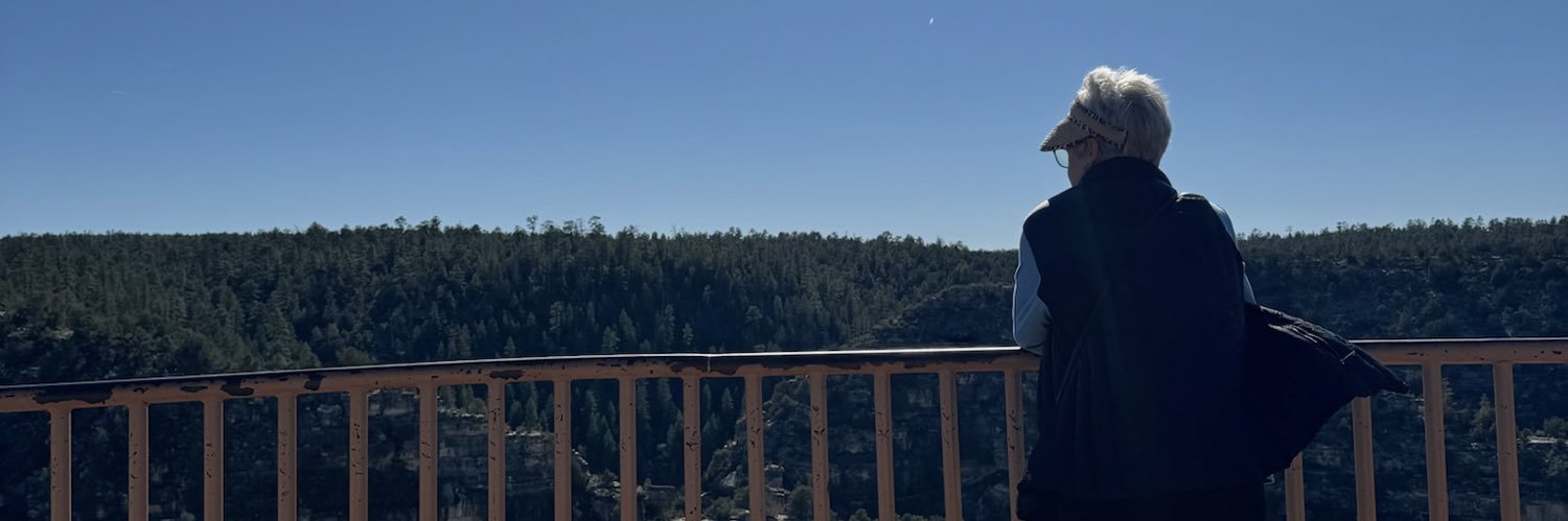 SLMor's profile banner image