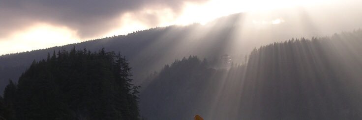 AskDoctorNicole's profile banner image