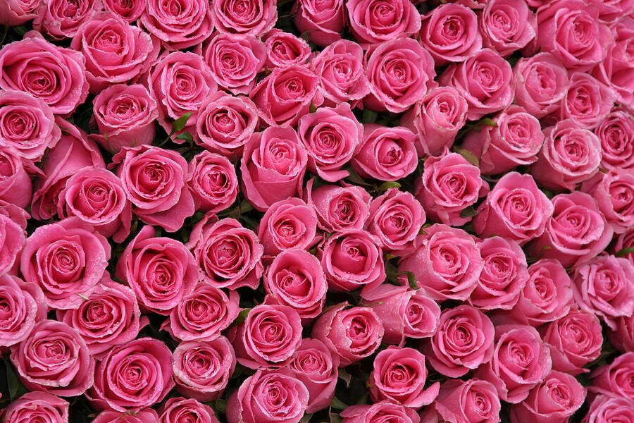 dinnamj's profile banner image