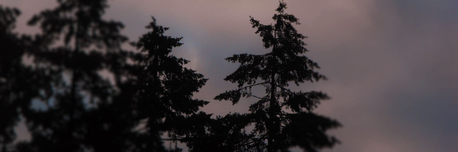 tanasaurusrexx's profile banner image