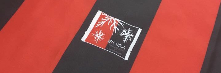 narishige banner