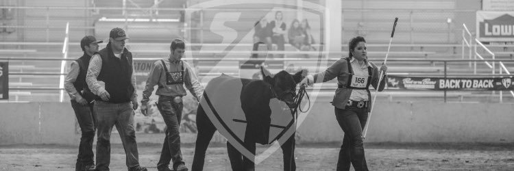 BlakeDahnke's profile banner image