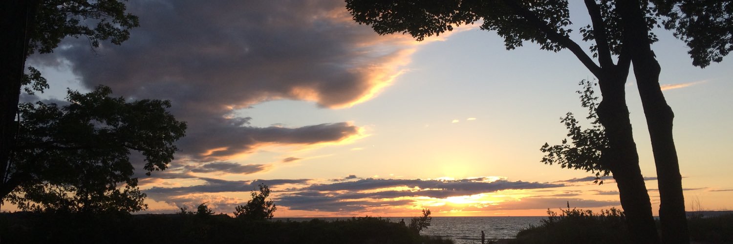 Christina Fogarasi banner