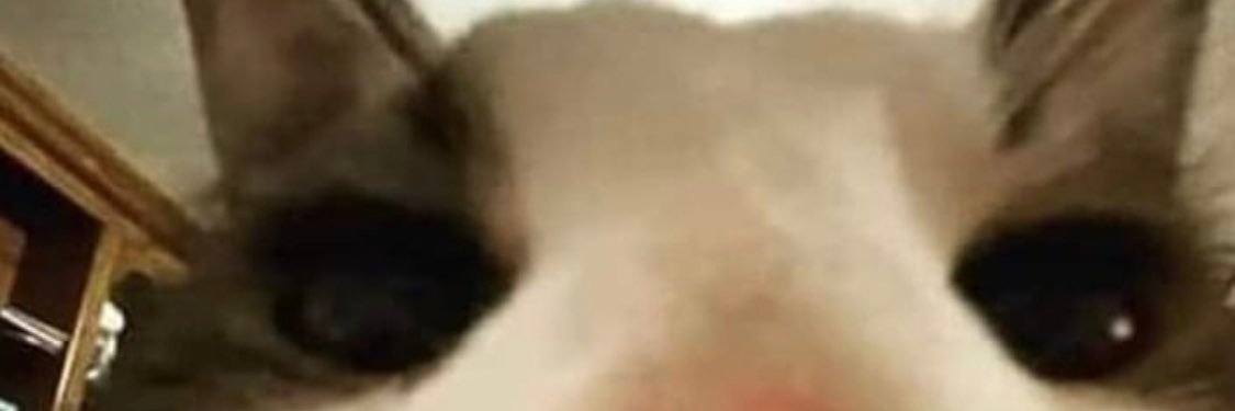Diegolate_'s profile banner image