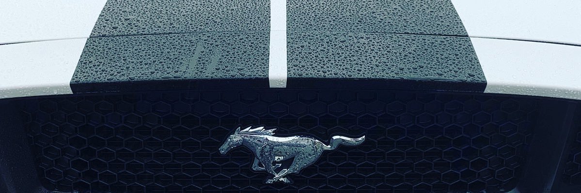 Michael Leszman banner