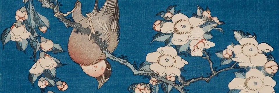 Elbyแม่แมวดำปั่นฟิค(#39only) banner