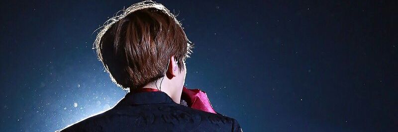 RadenSejung's profile banner image