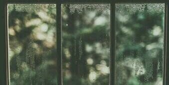 TumblrFots's profile banner image