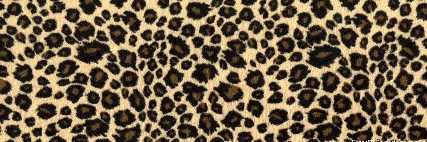 SoyEdgarSanchez's profile banner image