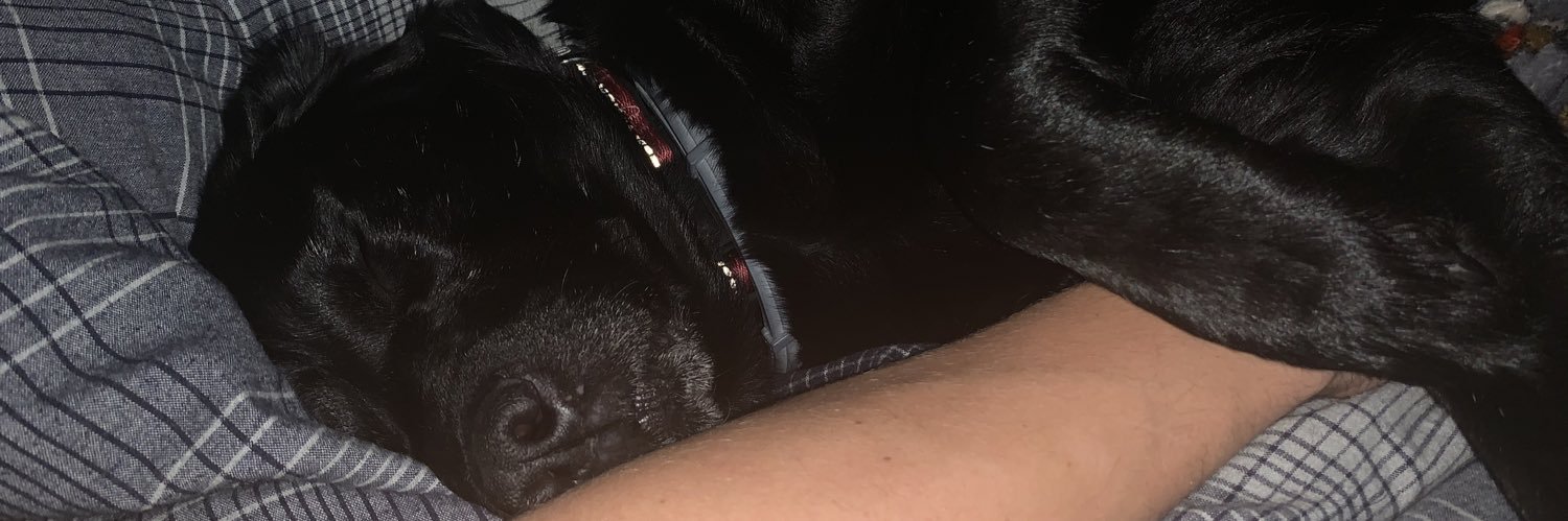 jcove22's profile banner image