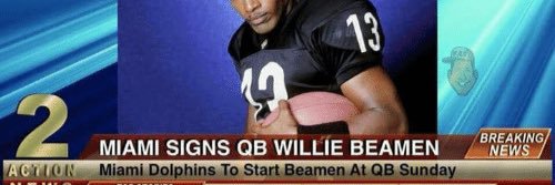 MLolphins's profile banner image