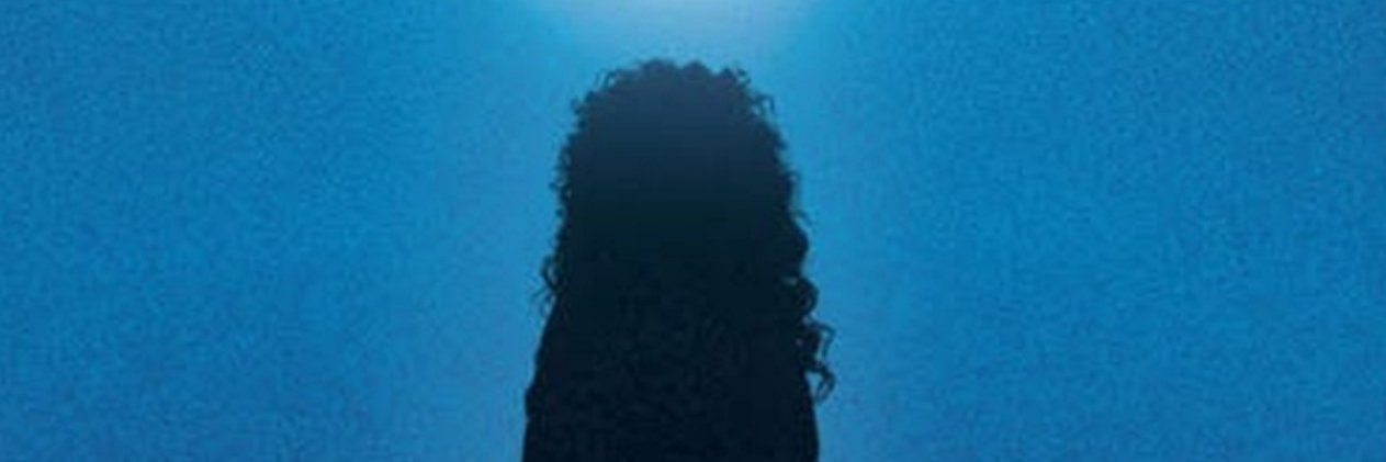averagebisexual's profile banner image