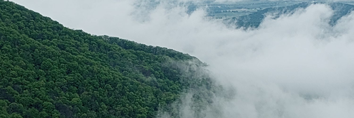 janesiberry's profile banner image