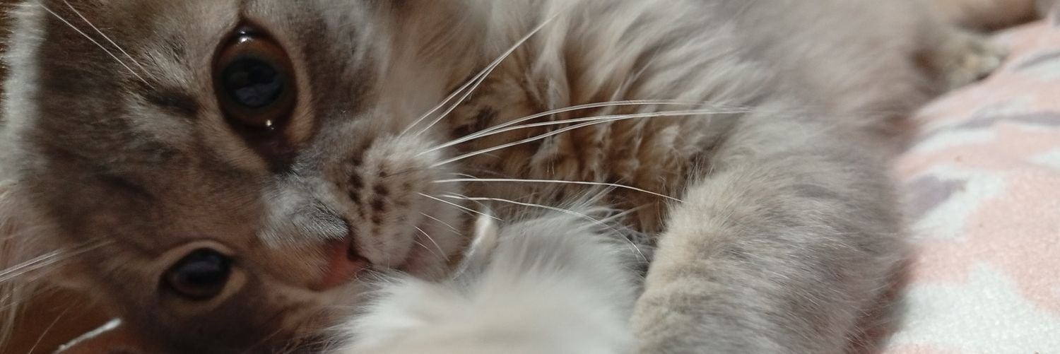 Valeeenp_'s profile banner image
