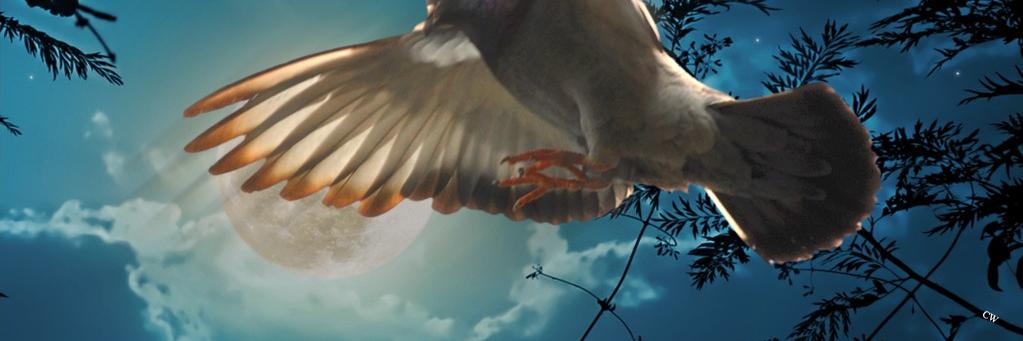 smsm1426's profile banner image