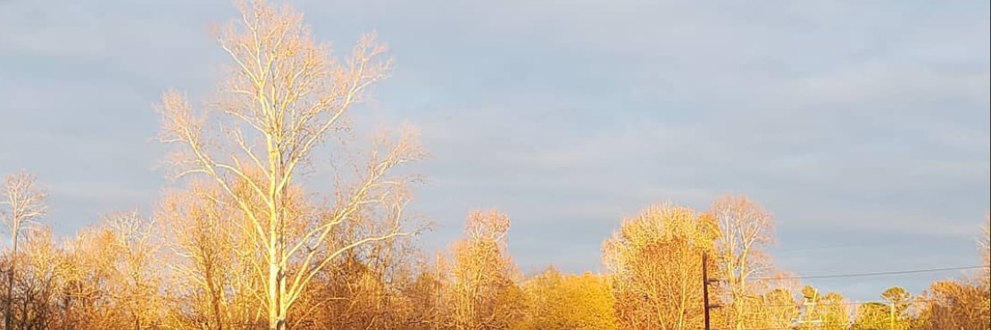 amycrump's profile banner image