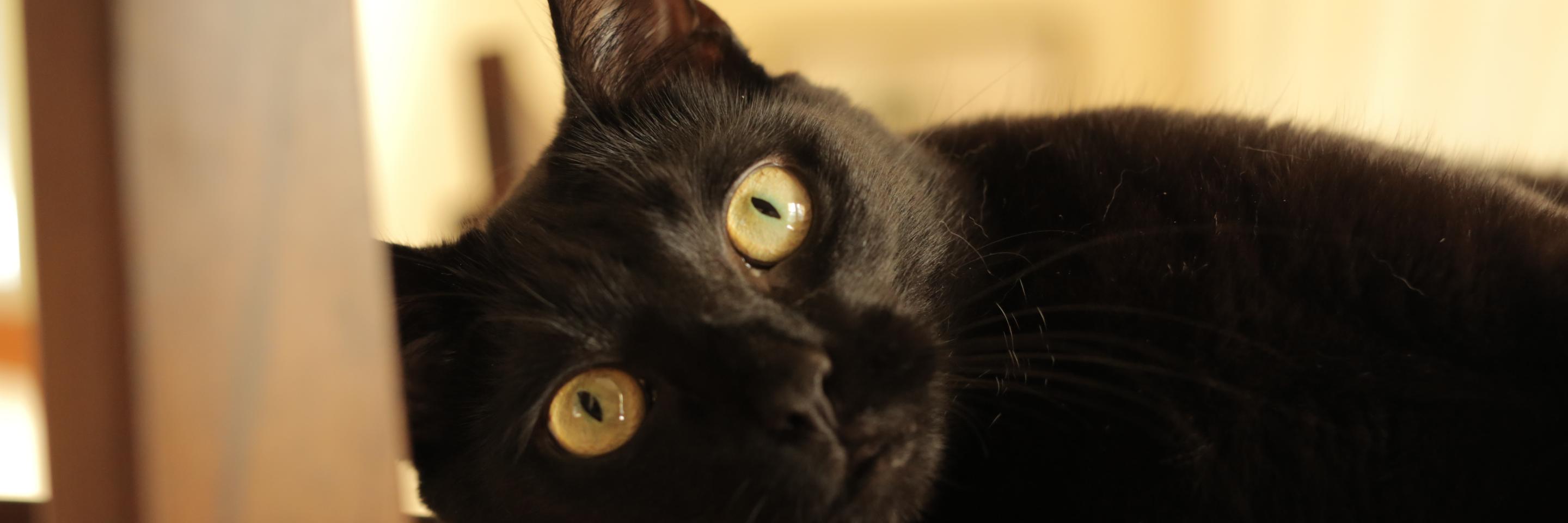 a_n_beyer's profile banner image