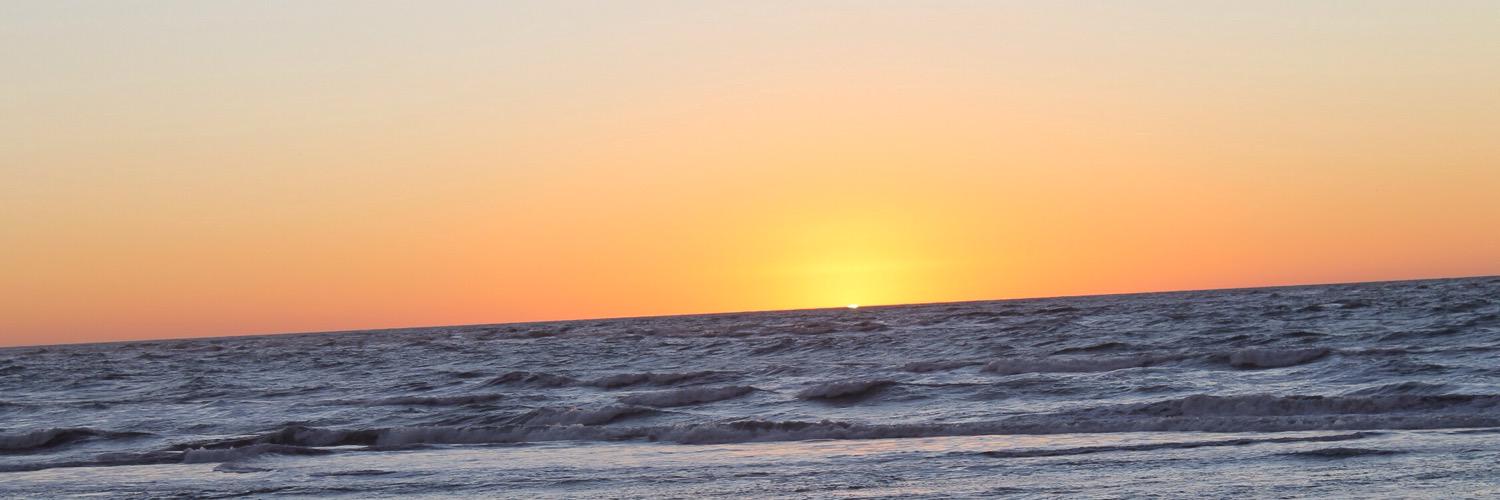 edsimental's profile banner image