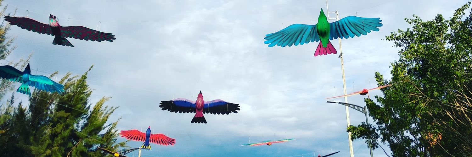 adrisilvacoache's profile banner image