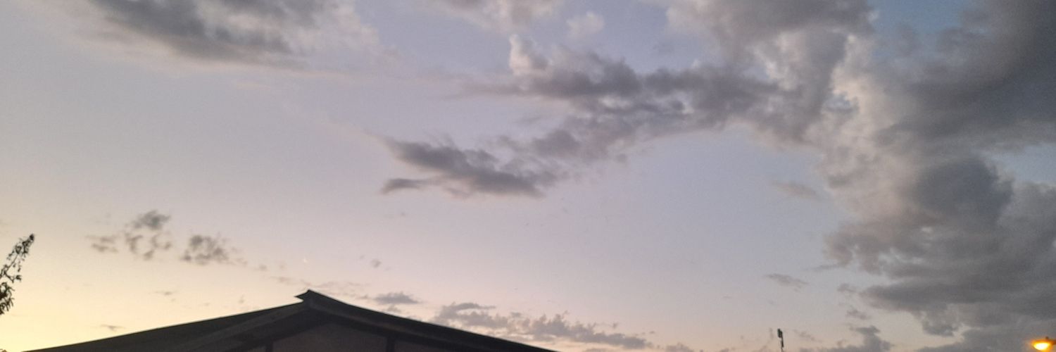 Vicaletopa☆ banner