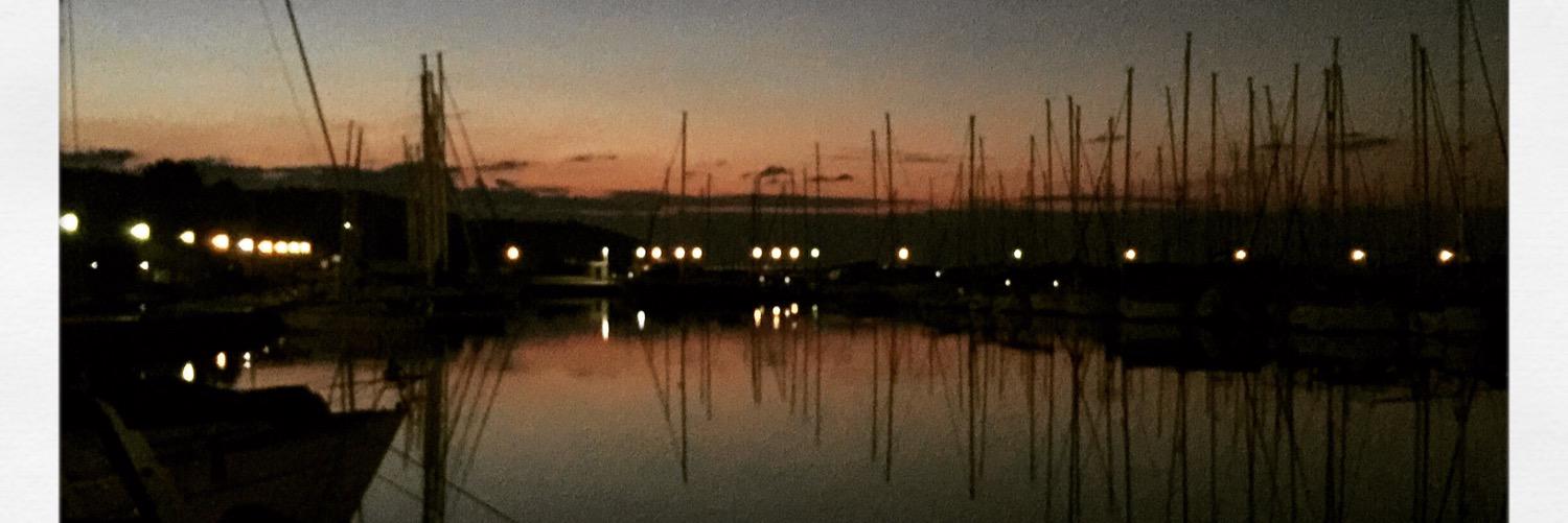 Michael Gollob banner