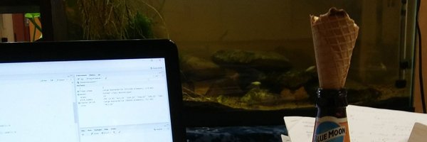 BrianMaitner Profile Banner